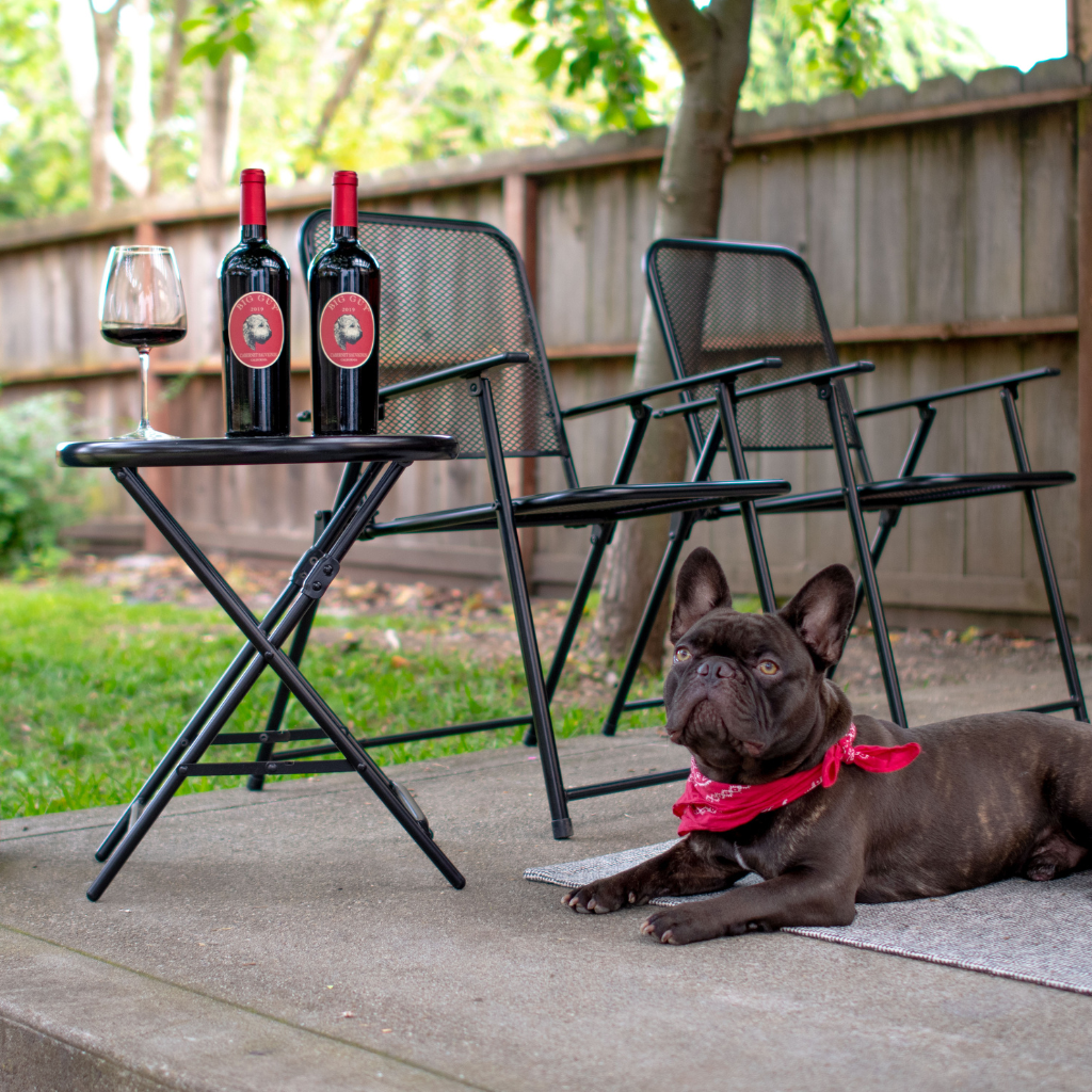 2022 Cabernet Sauvignon
