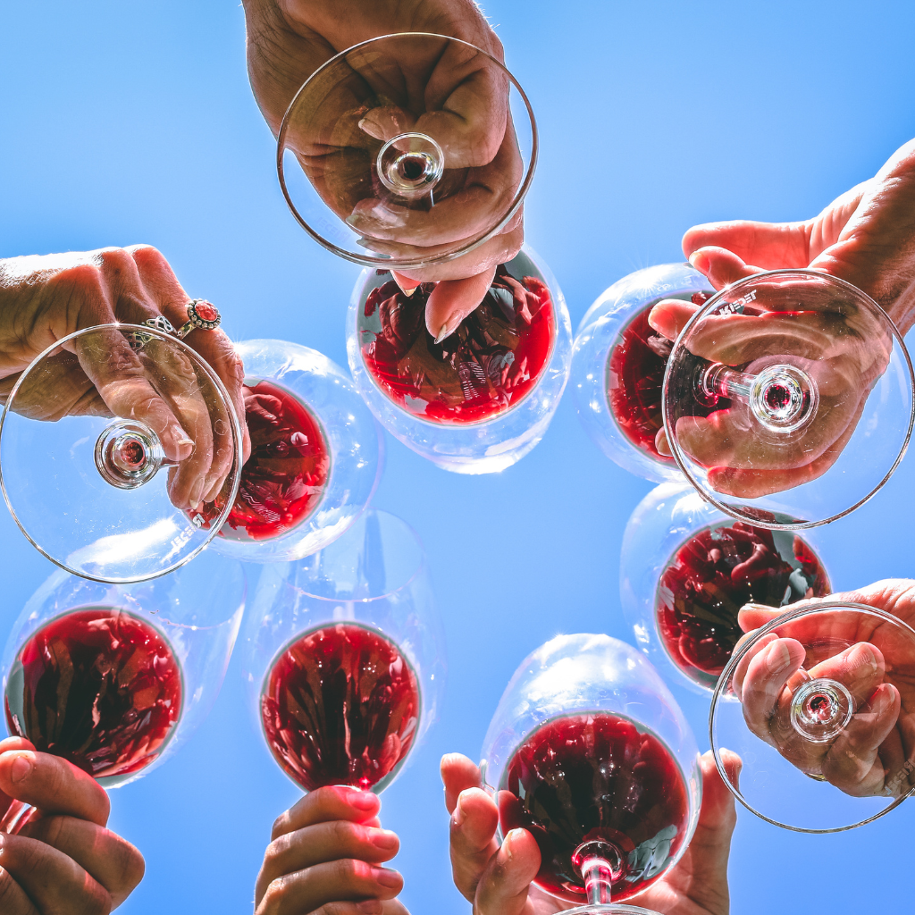2019 Pinot Noir